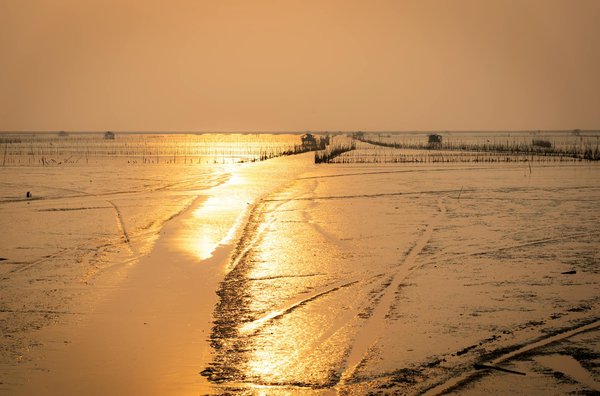 Discover the Most Fascinating UK Towns for Exploring the Dark History of British Witchcraft Persecution Tours