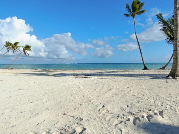 Unveiling the magic: explore captivating guided tours of england's historic saxon churches amidst breathtaking countryside